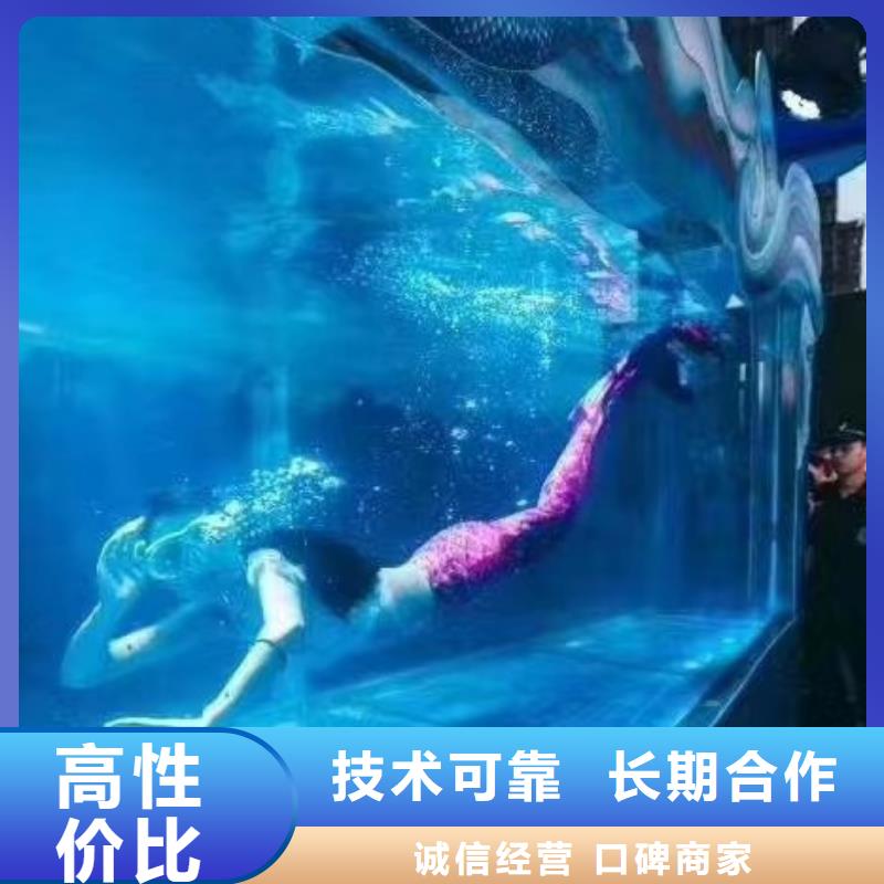 企鵝出租豐富多彩