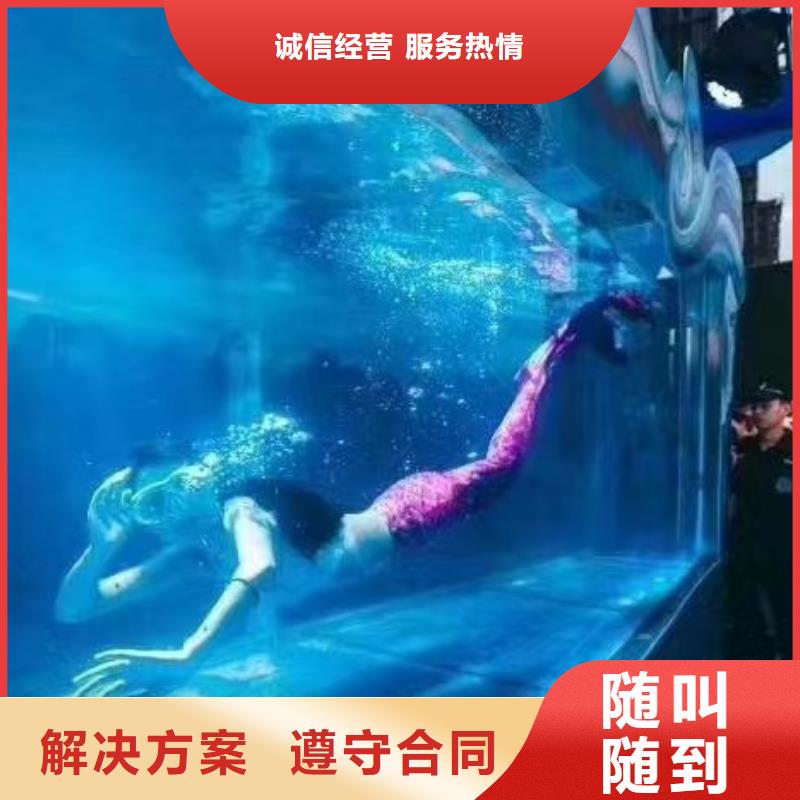 【海洋主題動物表演】_【海獅表演】品質服務