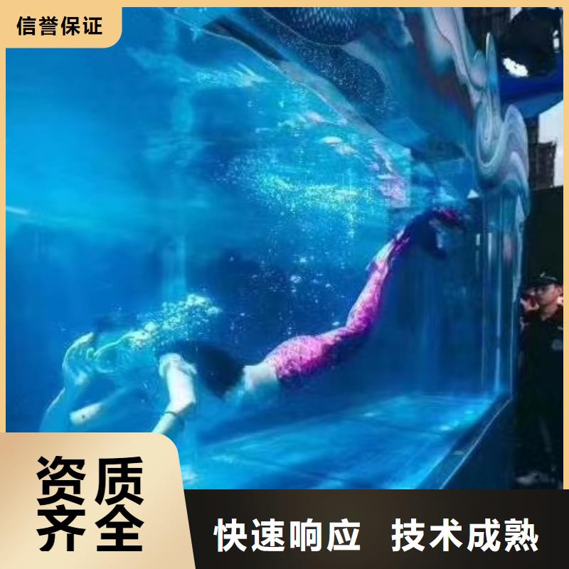 海洋主题动物表演羊驼表演品质好