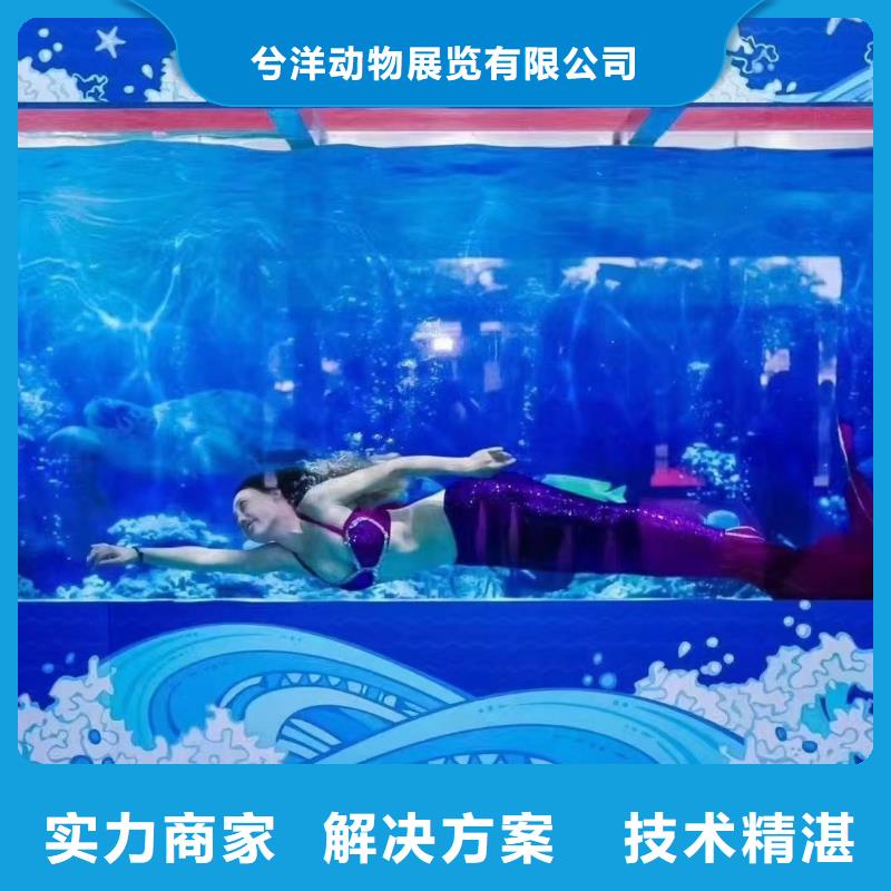 海洋主題動(dòng)物表演美人魚表演注重質(zhì)量
