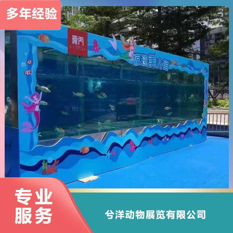 出租海獅表演價格