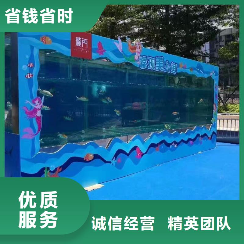 海洋主题动物表演【出租企鹅表演】技术成熟