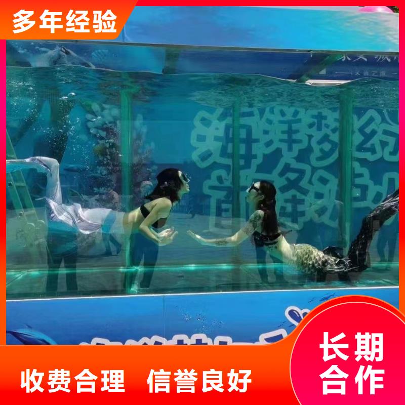 哪有出租企鵝的商場活動