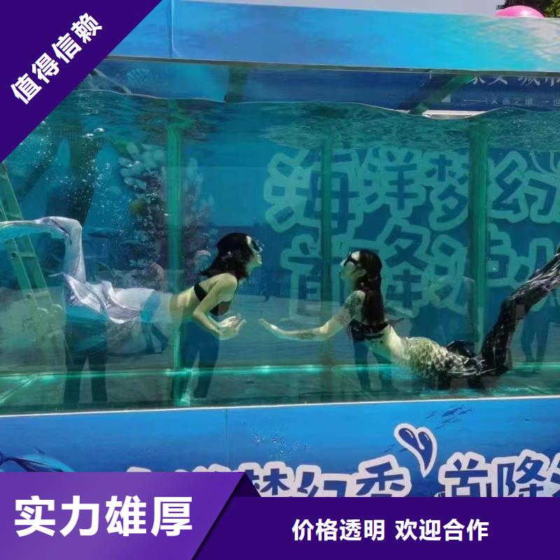 高質量海獅表演租賃供應商