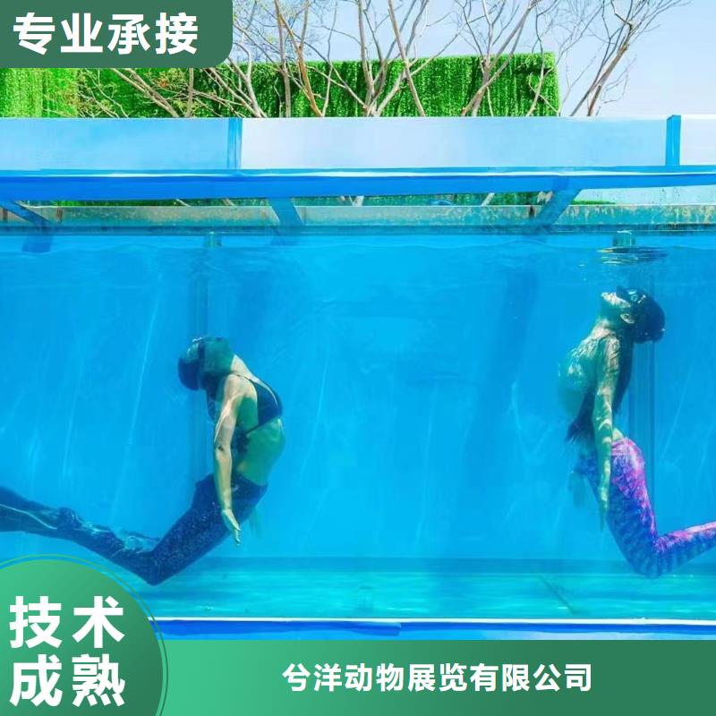 海洋主題動物表演-【活體羊駝租賃】專業團隊