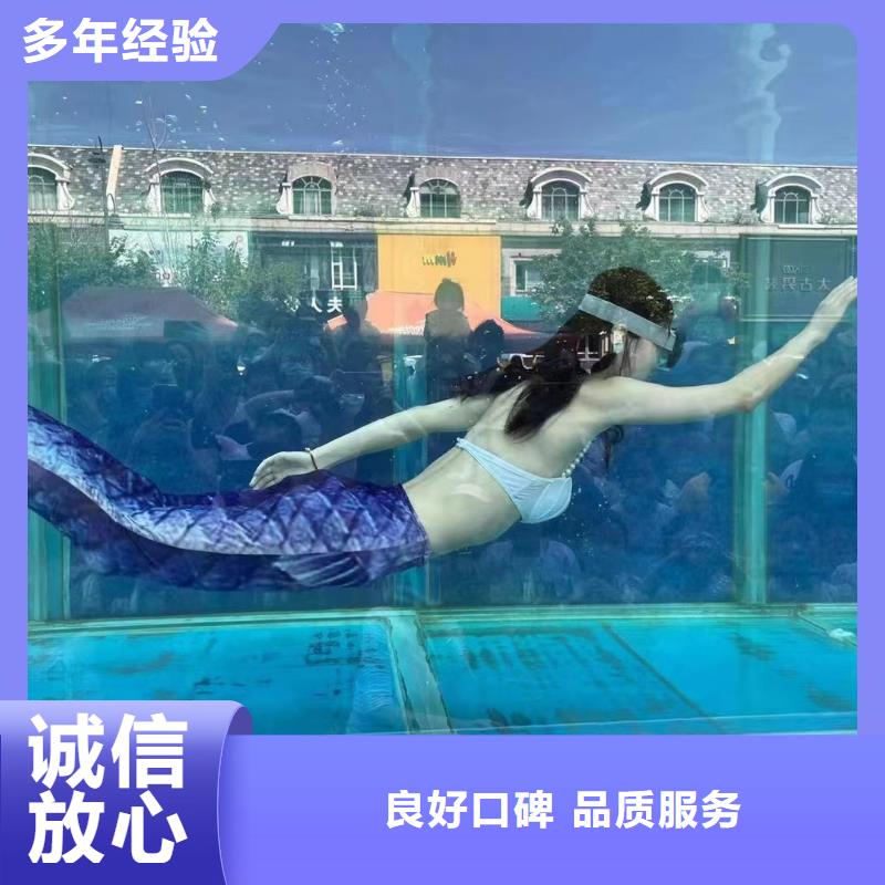 海洋主題動物表演 馬戲團表演放心之選