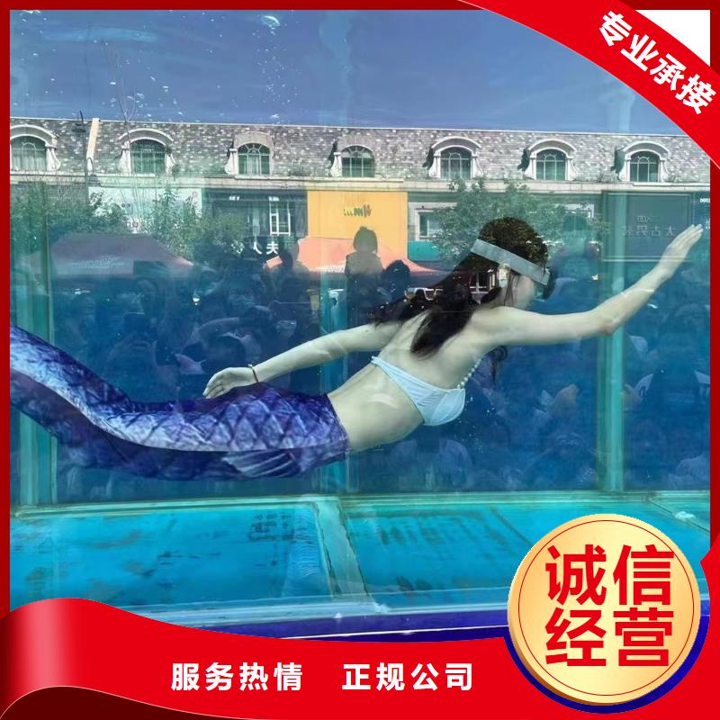 海洋主題動物表演馬戲團表演靠譜商家