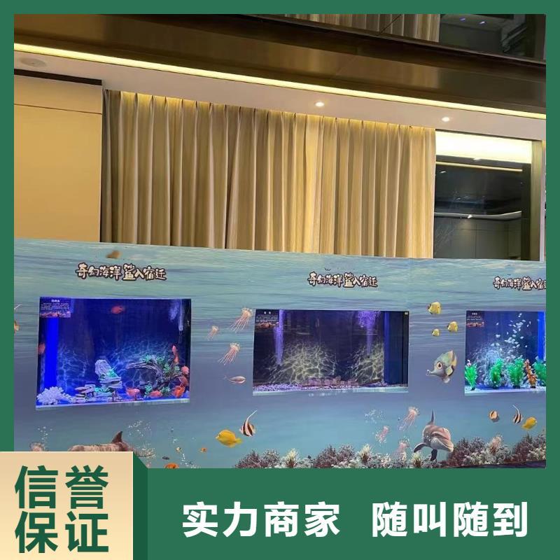 海洋主题动物表演,海狮表演出租一对一服务