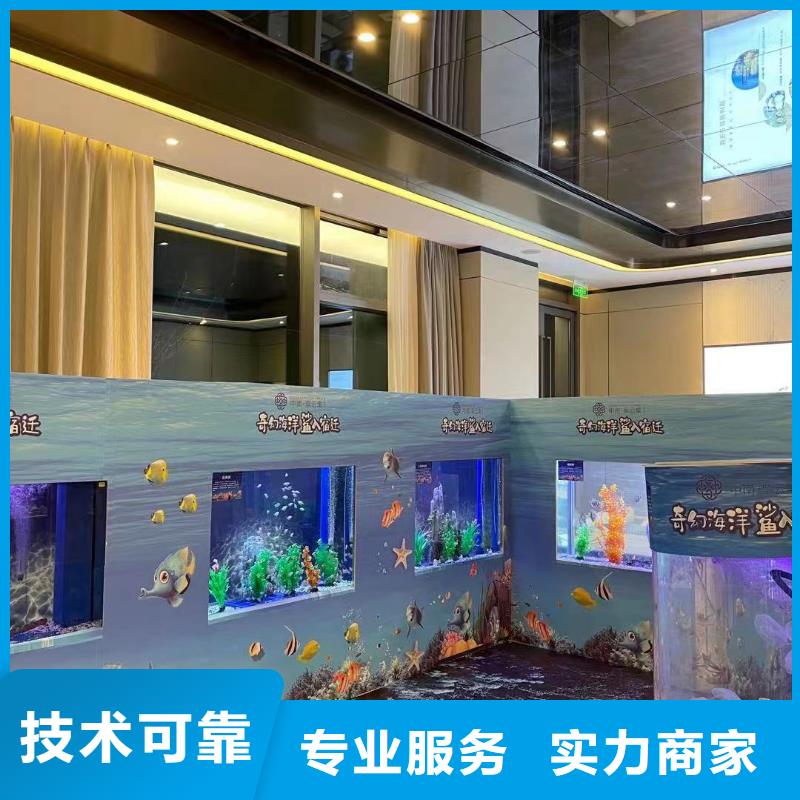 海洋主題動物表演【企鵝表演出租】行業口碑好
