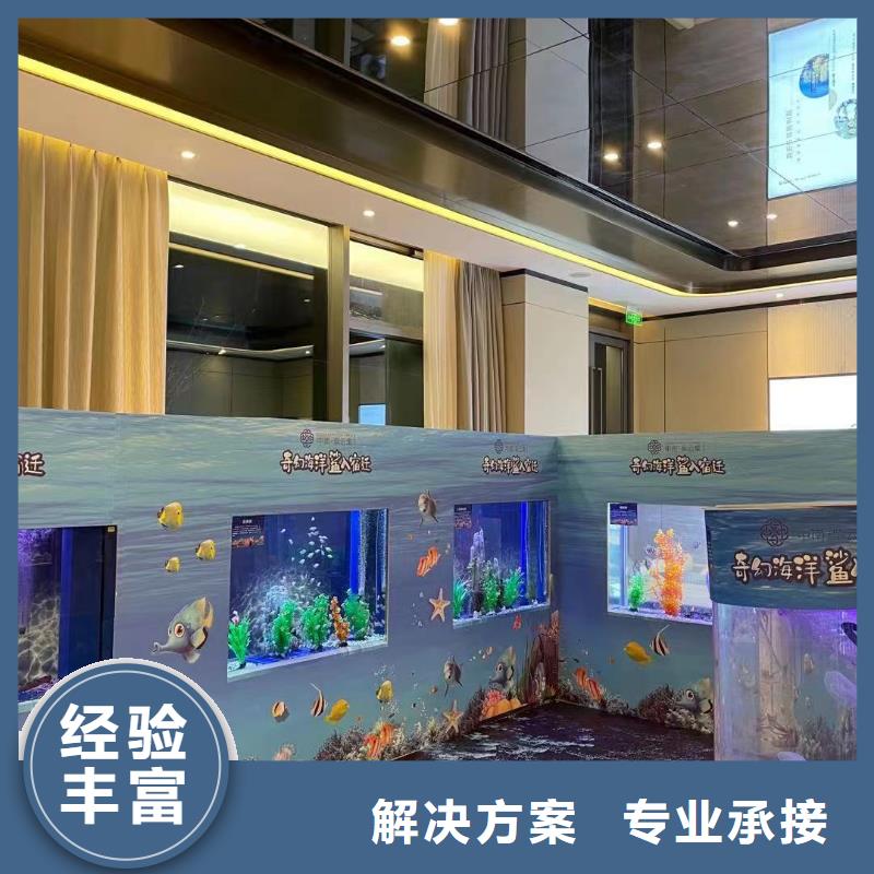 海獅表演租賃