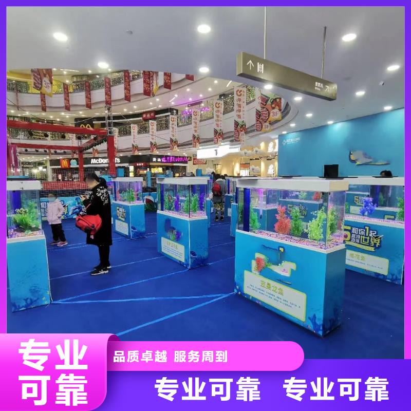 周邊企鵝出租公司價格優惠