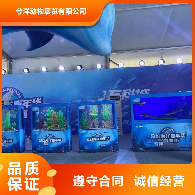 美人魚表演租賃