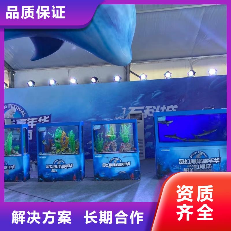 海洋主題動物表演馬戲團表演出租租賃24小時為您服務