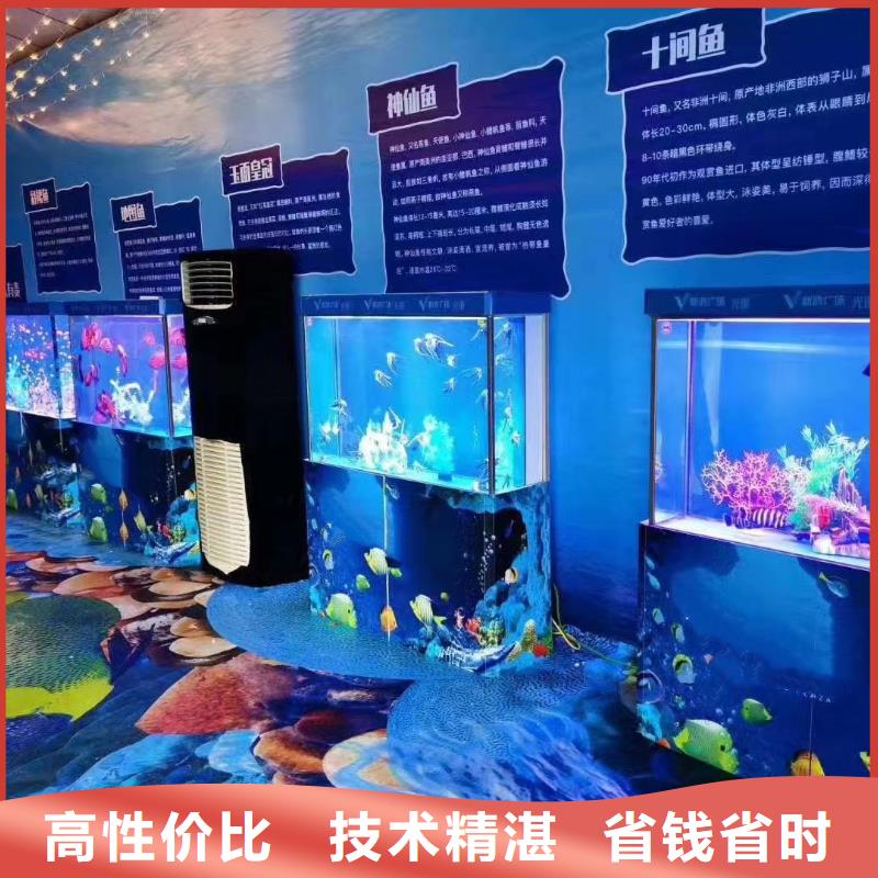 海洋主題動物表演_吉祥百鳥展專業(yè)服務