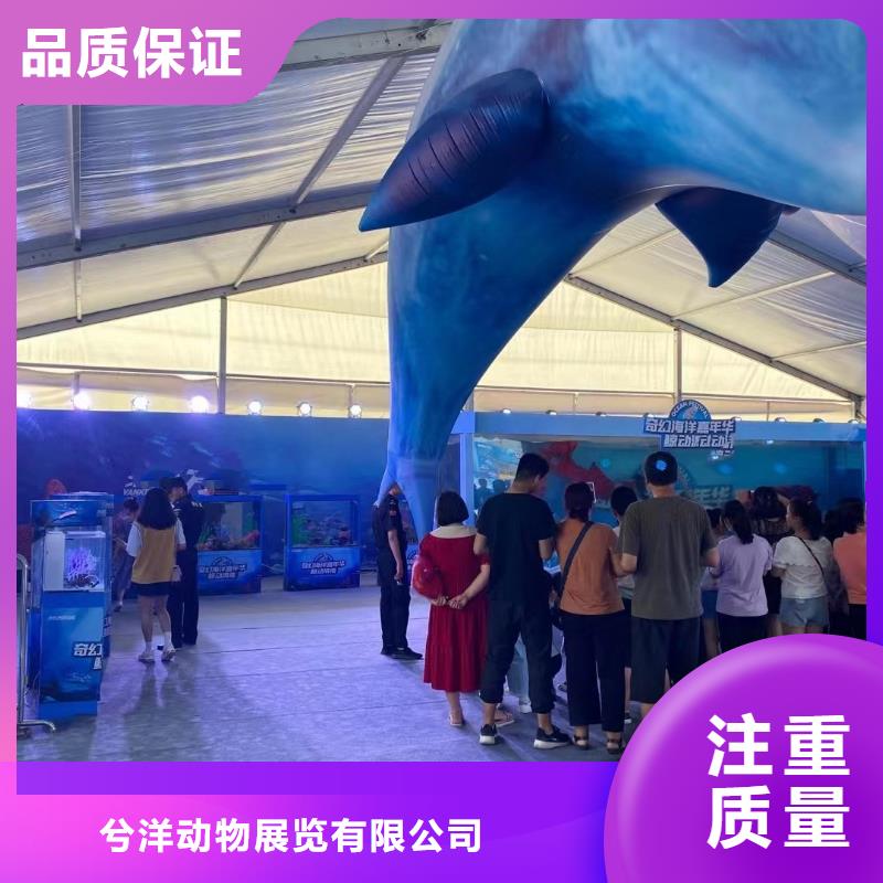 海洋生物展租赁附近