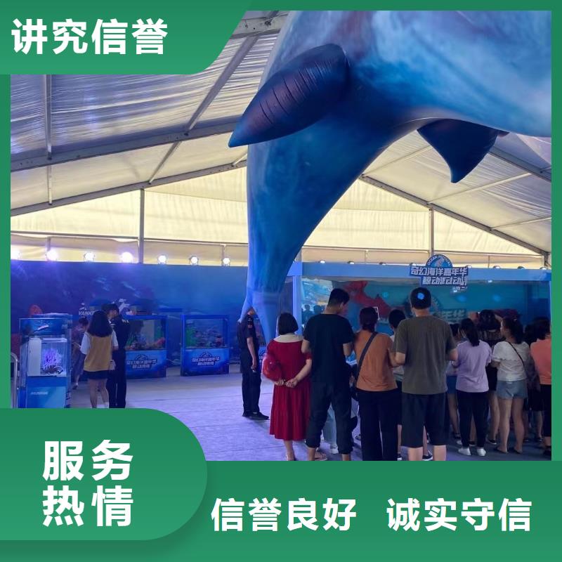 海洋主題動物表演_雜技表演實力強有保證