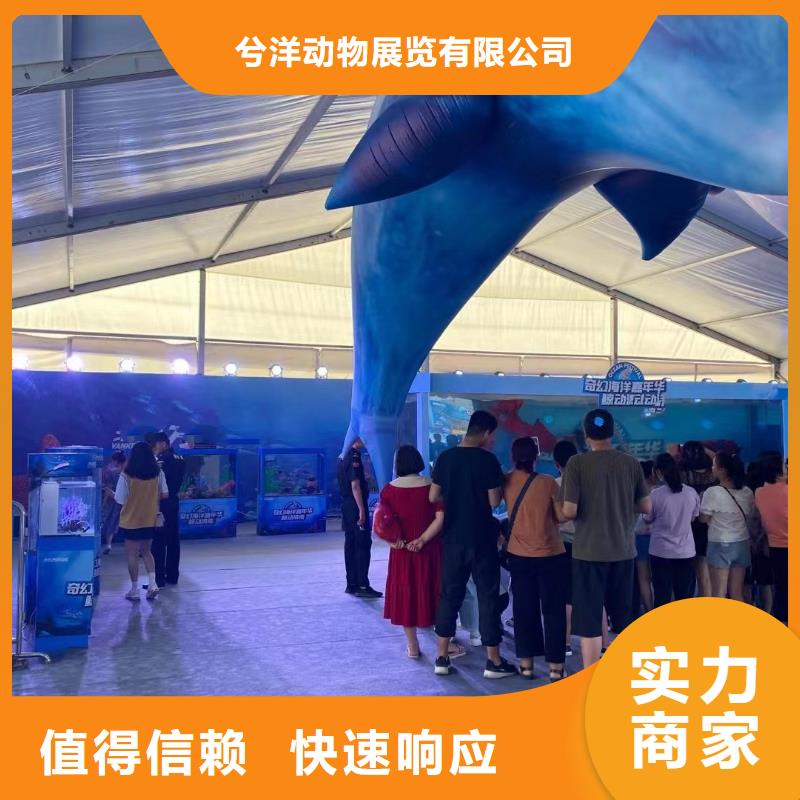 海洋展出租哪里有