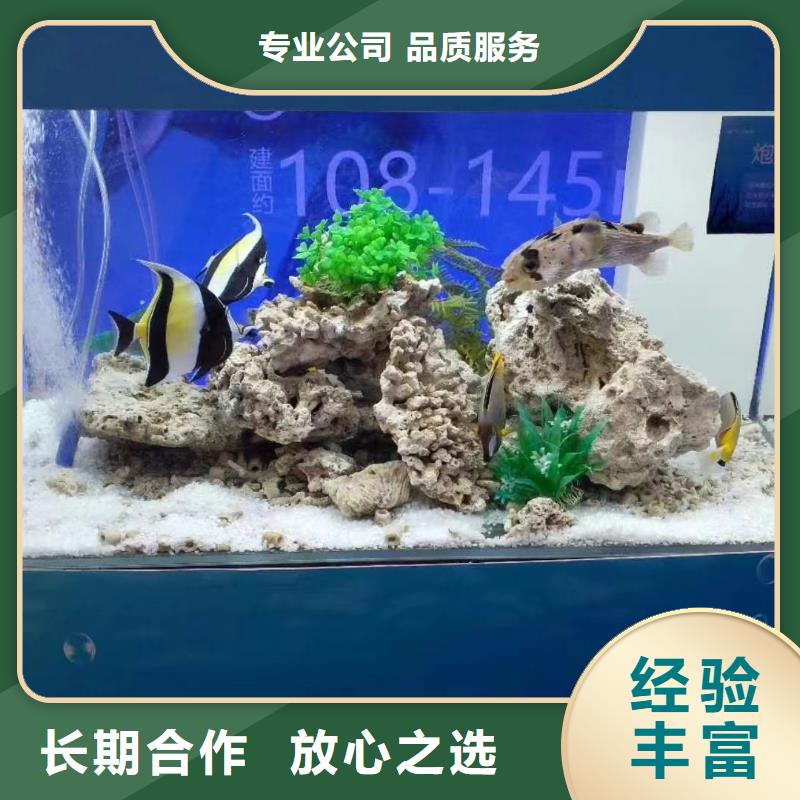 海洋主题动物表演【海狮表演】知名公司