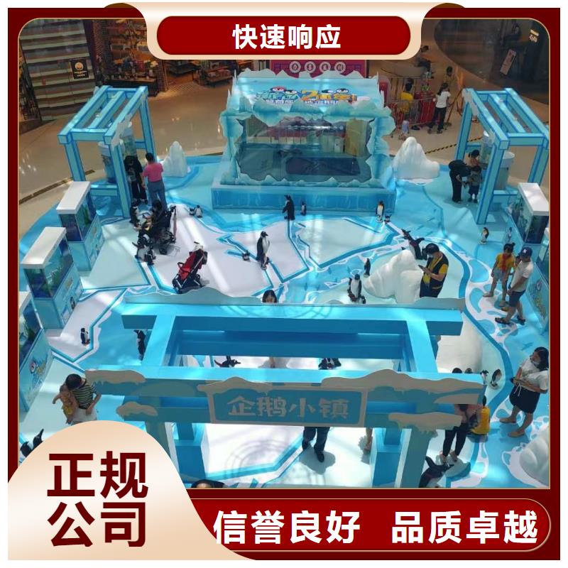 企鵝出租豐富多彩