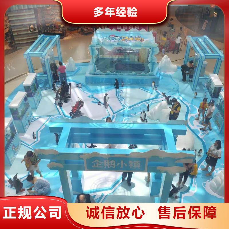 海洋主题动物表演,海狮演出欢迎合作