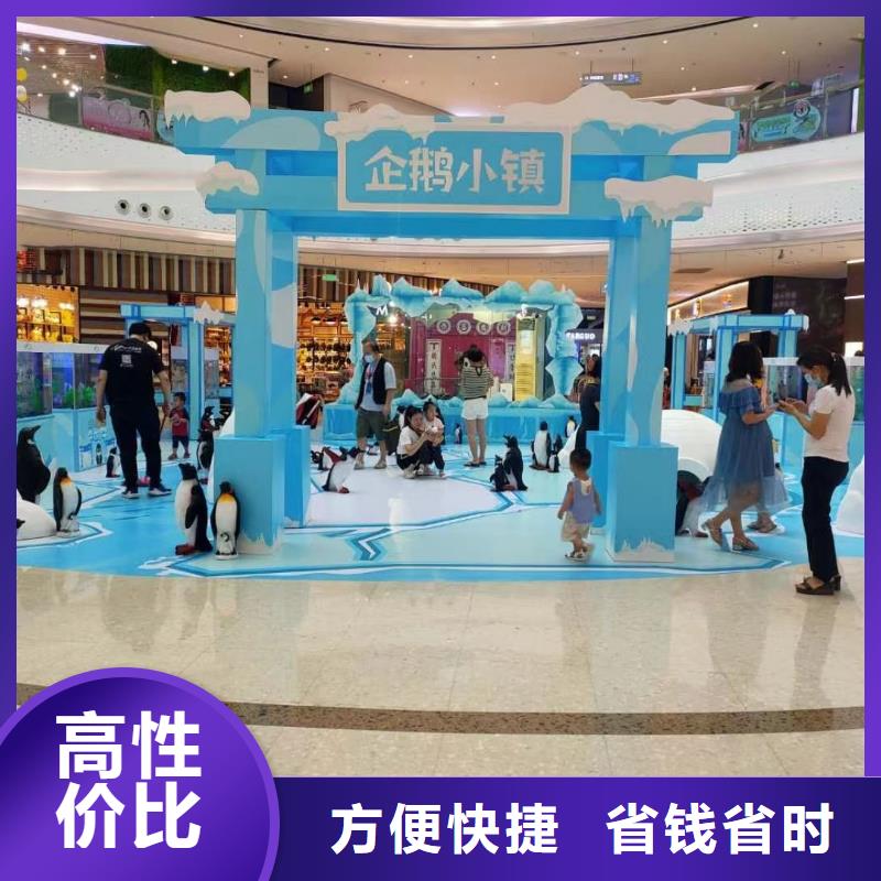 海洋主题动物表演,出租表演萌宠2025公司