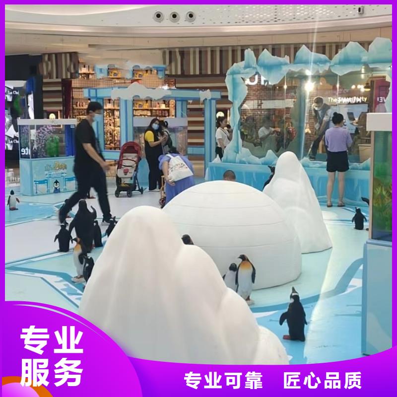 海洋主题动物表演吉祥百鸟展技术比较好