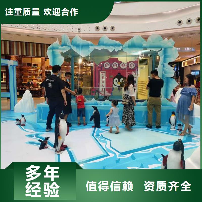 哪有出租企鵝的貨源充足的廠家