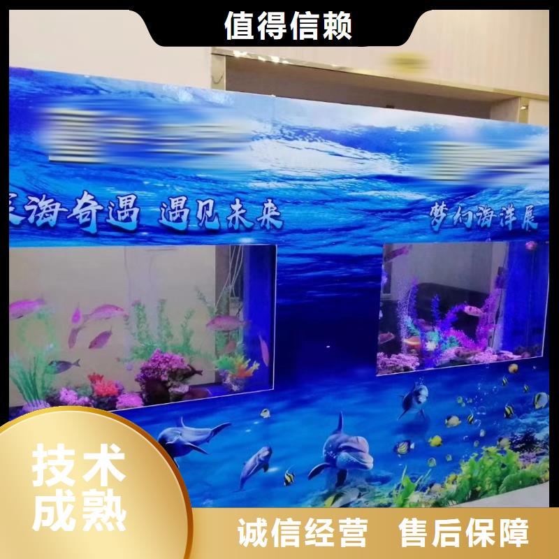 海洋主題動(dòng)物表演企鵝租賃經(jīng)驗(yàn)豐富