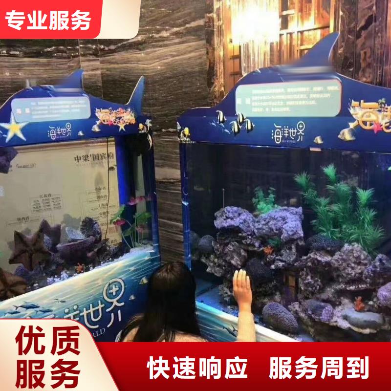 海狮表演出租视频-海狮表演出租-兮洋动物展览(辽宁省分公司)服务区域辽阳|营口|沈阳|本溪|鞍山|大连|丹东