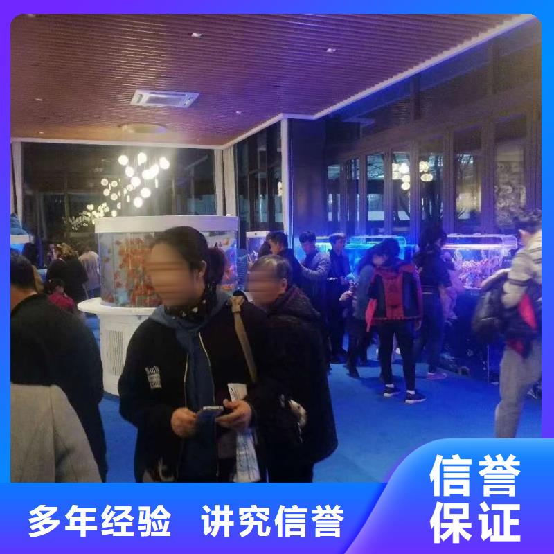 海洋主题动物表演-表演动物出租口碑商家