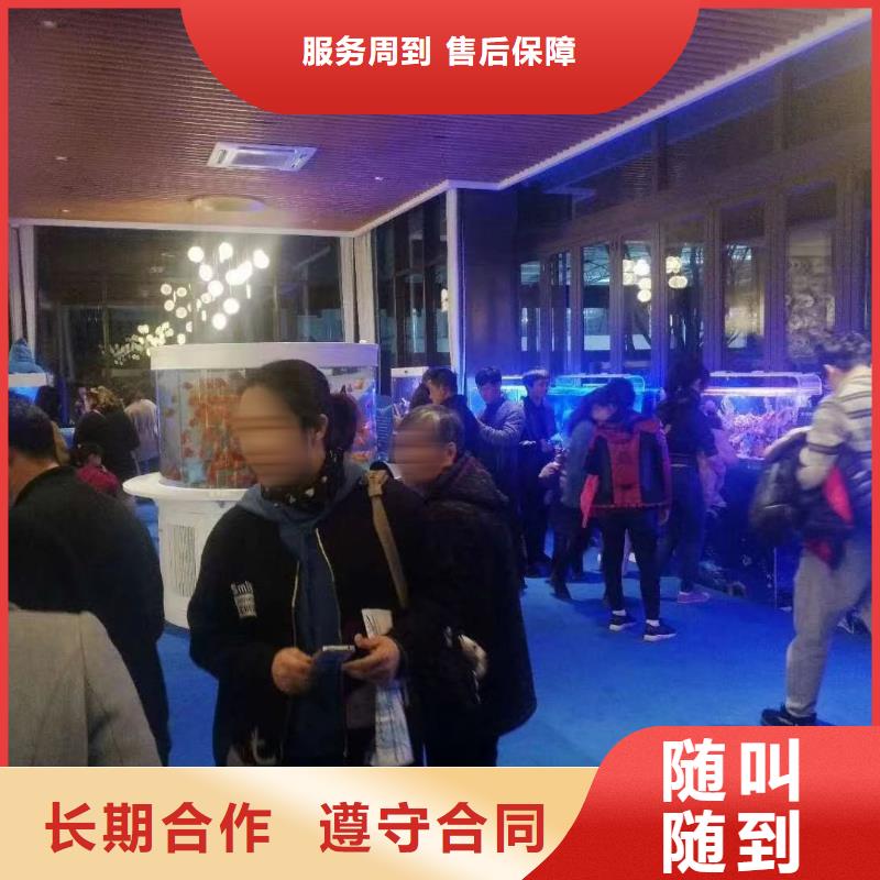 美人魚表演出租