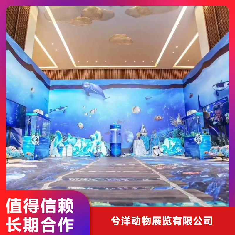 活體企鵝出租暖場活動