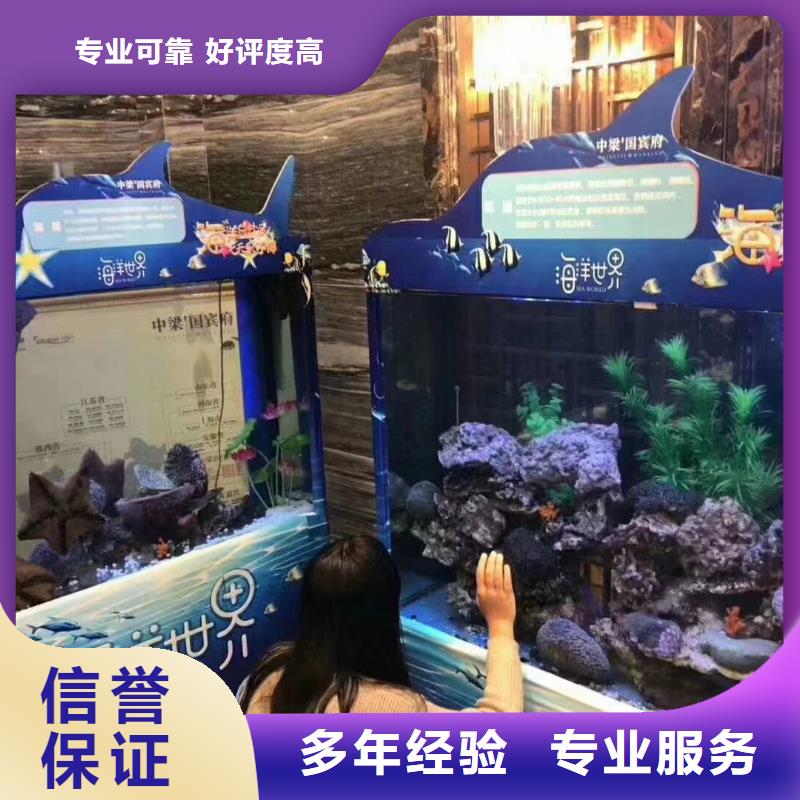 【海洋主題動物表演】【企鵝表演出租】專業團隊