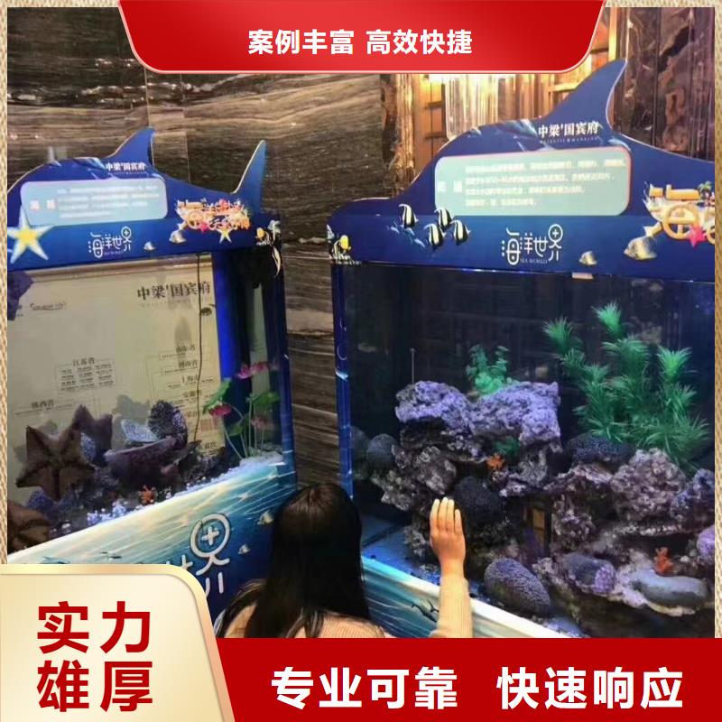 海獅表演租賃