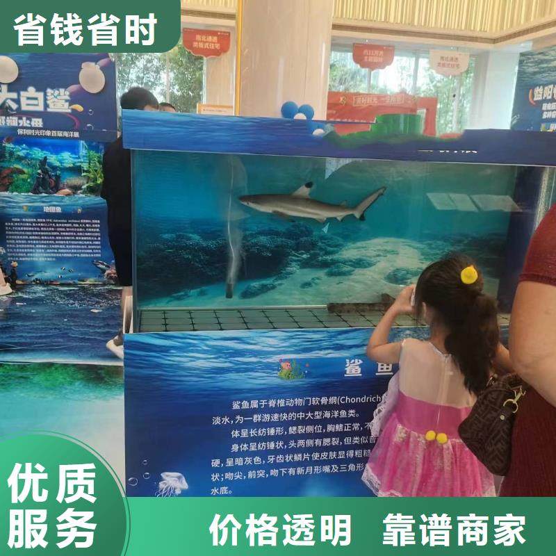 美人魚表演租賃聯系方式