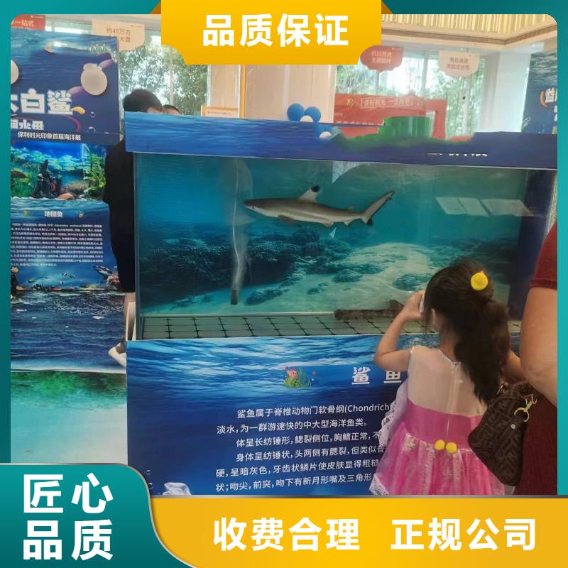 周邊哪有出租企鵝的誠信廠家