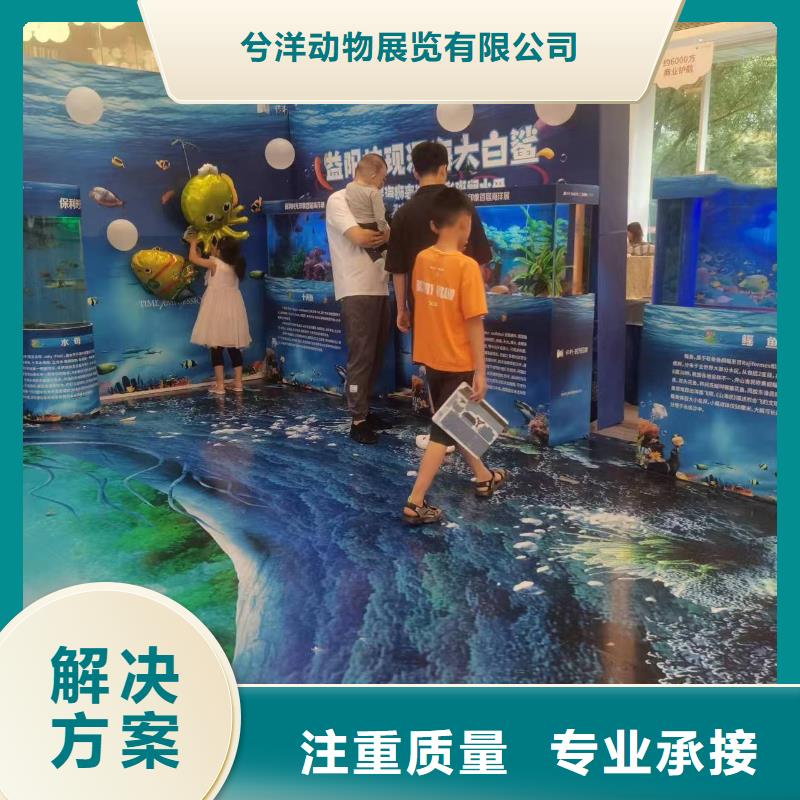 【海洋主題動物表演】_【海獅表演】品質服務