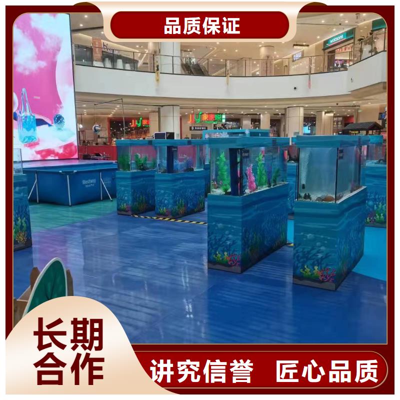 海洋主題動物表演 動物雜技表演租賃遵守合同