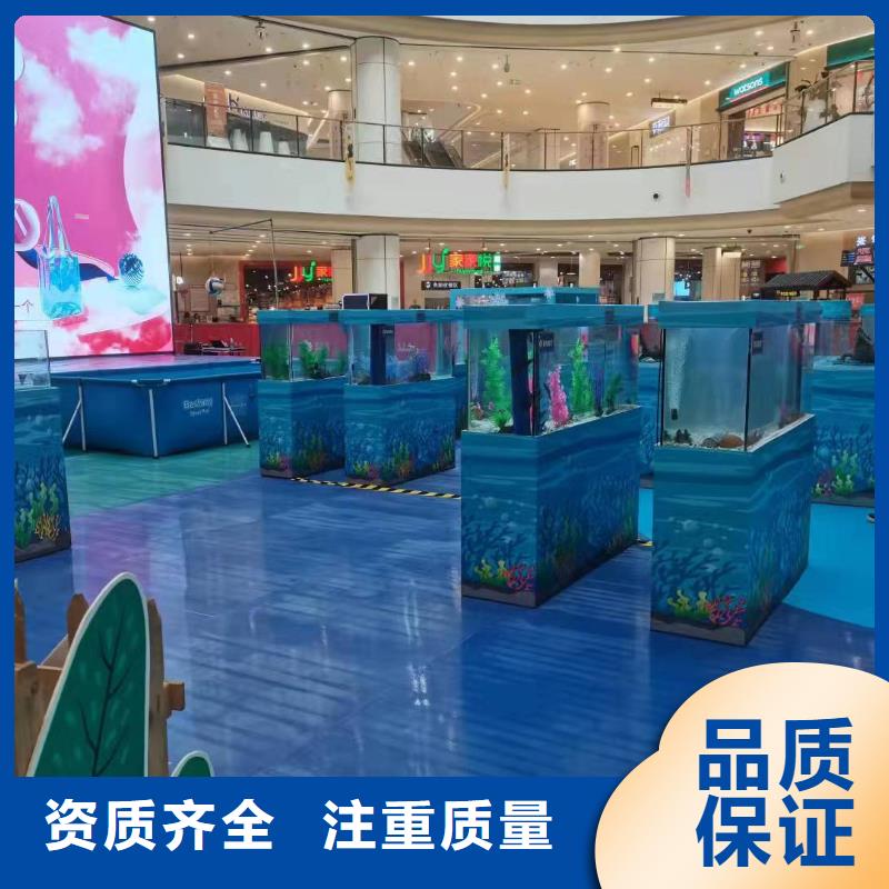 海洋主題動物表演,草泥馬羊駝租賃實力雄厚