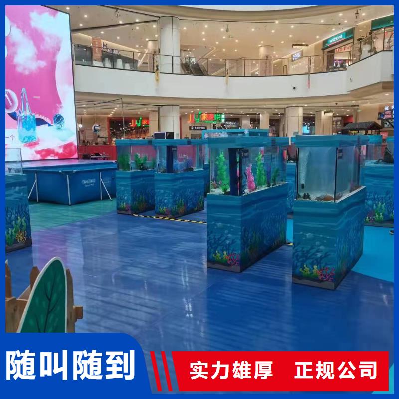 海洋主题动物表演美人鱼表演出租价格低于同行