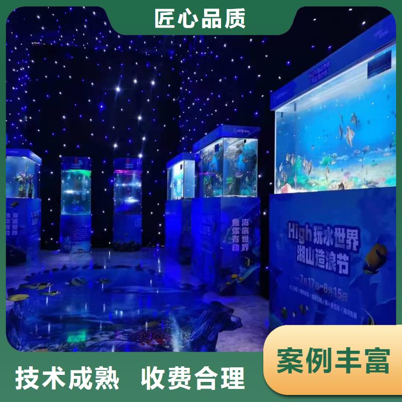 【海洋主題動物表演】出租表演企鵝品質保證
