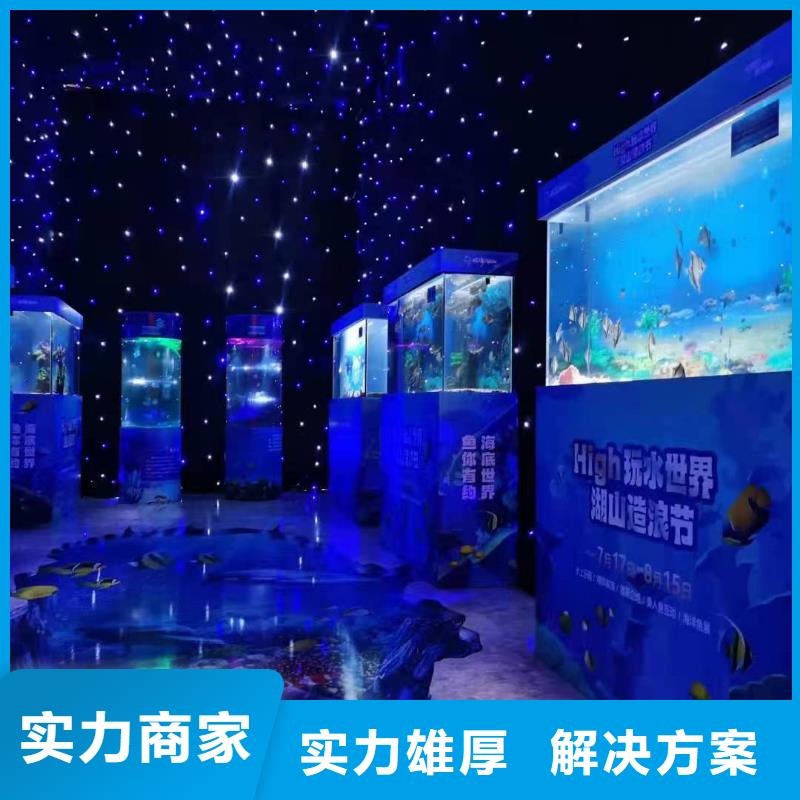 海洋主題動物表演-馴獸表演先進的技術