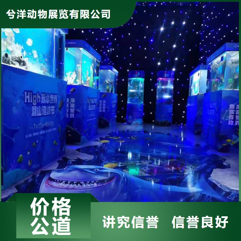 海洋主題動物表演出租馬戲團表演技術(shù)可靠