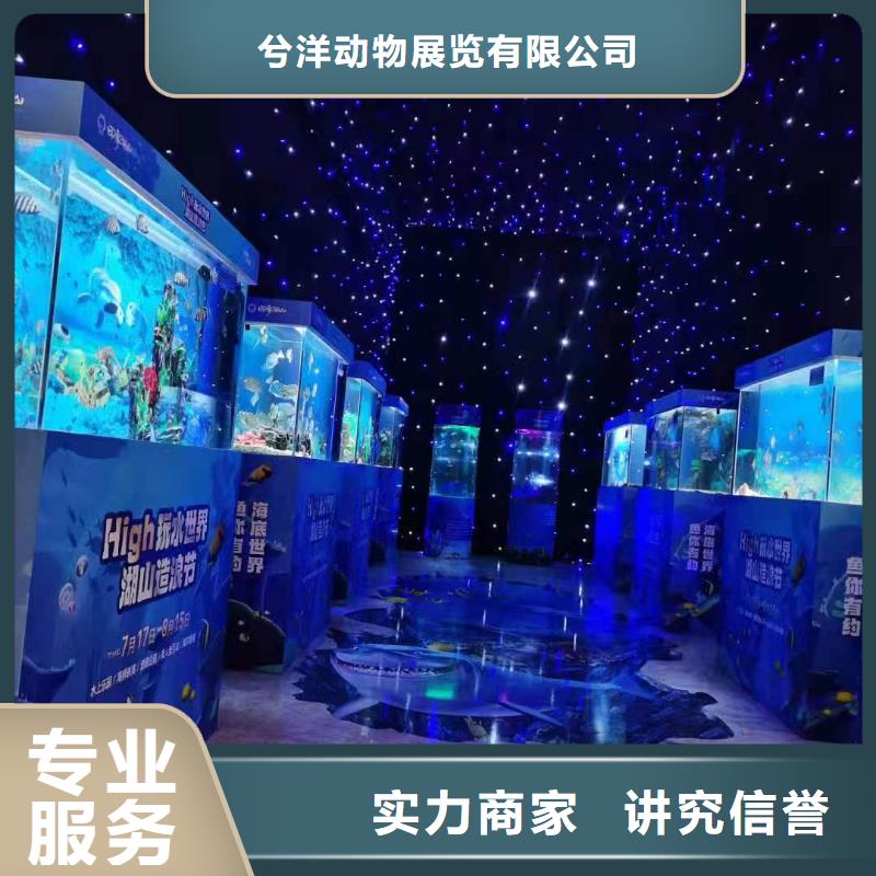 性價(jià)比高的企鵝租賃公司