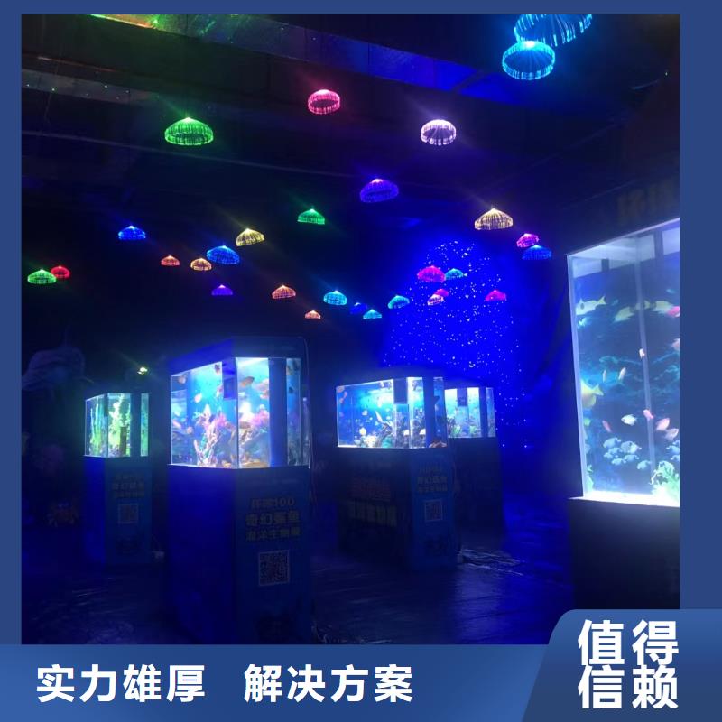 海洋主題動物表演_雜技表演實(shí)力強(qiáng)有保證
