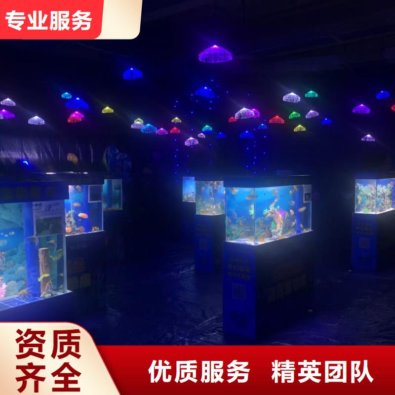 海洋主题动物表演【海狮杂技表演】品质卓越