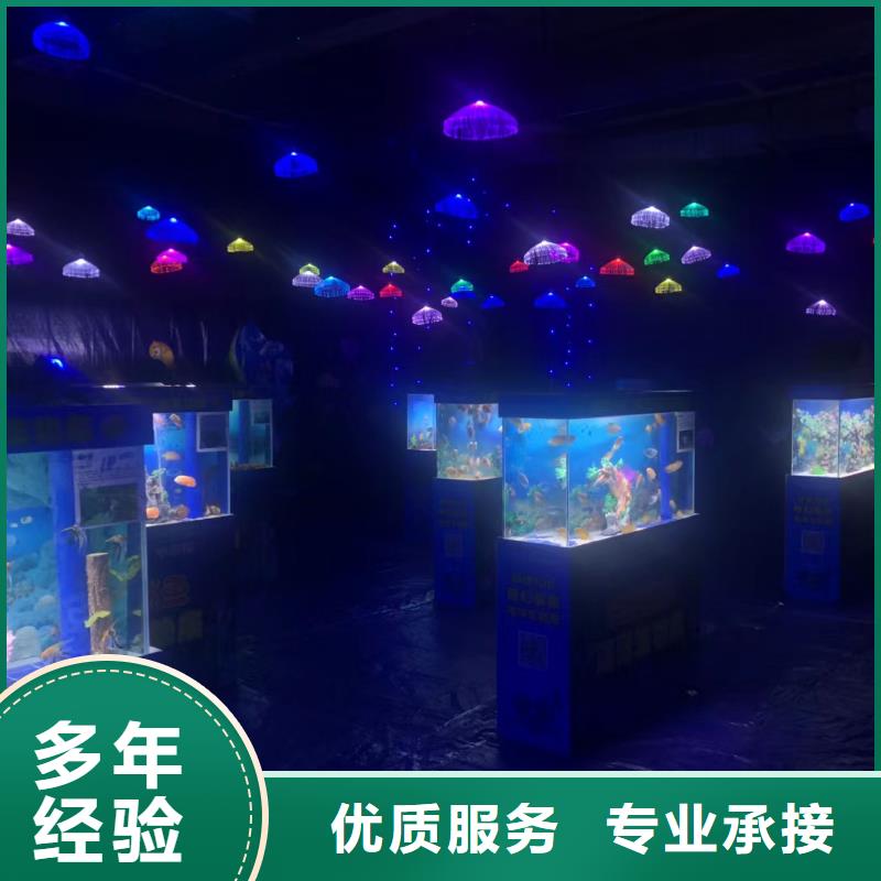 海洋主题动物表演动物杂技表演2025公司精心