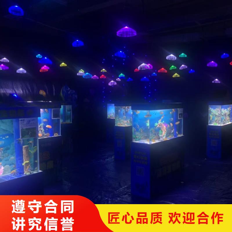海洋主題動物表演馬戲團表演出租租賃24小時為您服務