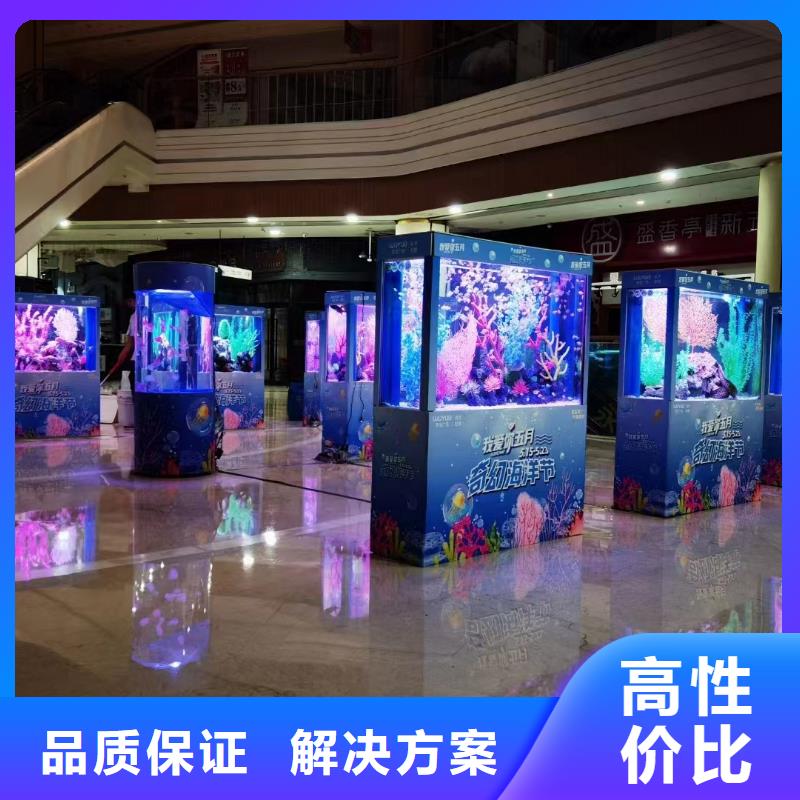 海獅表演