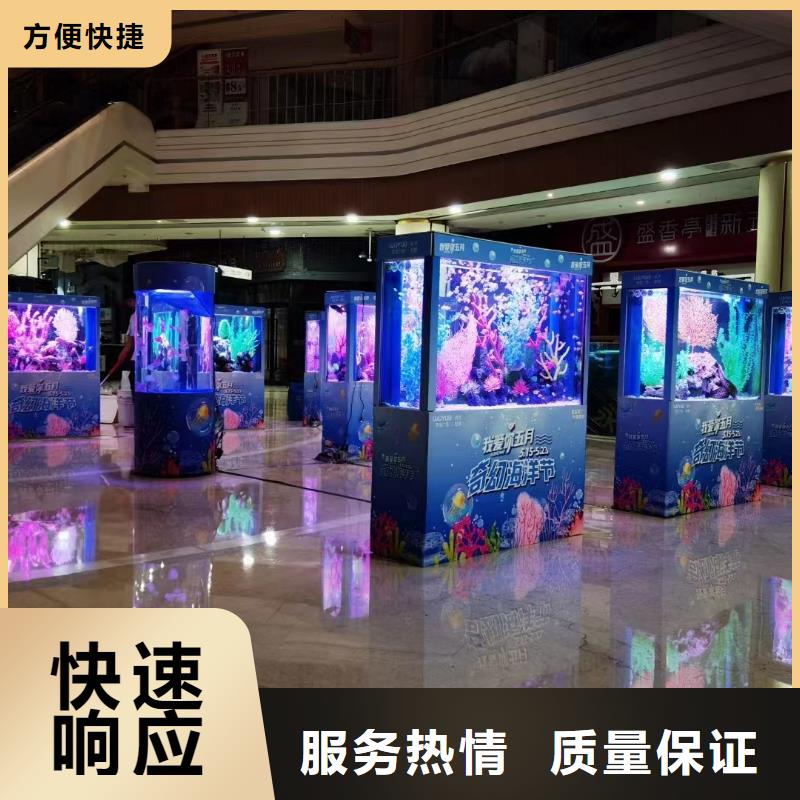 海洋主题动物表演美人鱼表演注重质量